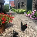De Beijersche Stee , Logies In De Wagenschuur *