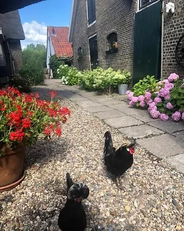 De Beijersche Stee , Logies In De Wagenschuur *
