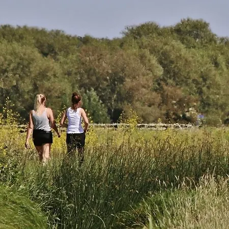 De Beijersche Stee , Logies In De Wagenschuur *