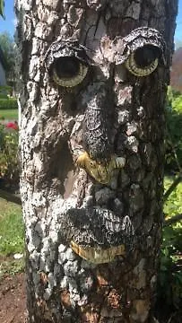 Vakantiehuis De Beijersche Stee , Logies In De Wagenschuur *