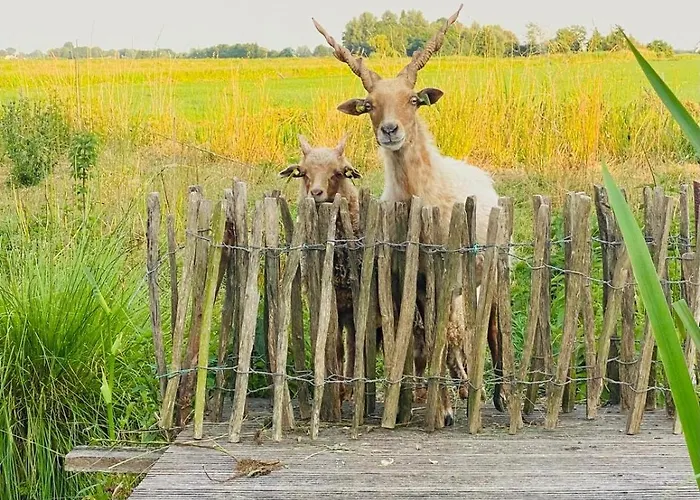 De Beijersche Stee , Logies In De Wagenschuur * Stolwijk