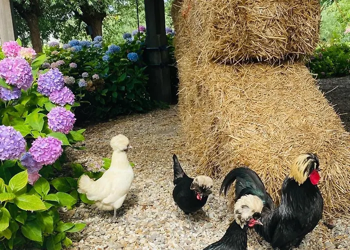 Vakantiehuis De Beijersche Stee , Logies In De Wagenschuur