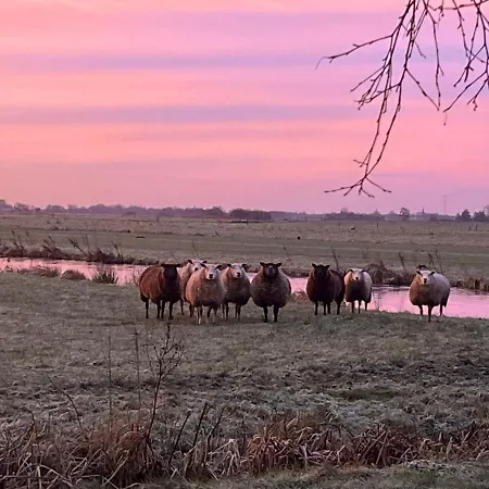 بيت للعطل De Beijersche Stee , Logies In De Wagenschuur