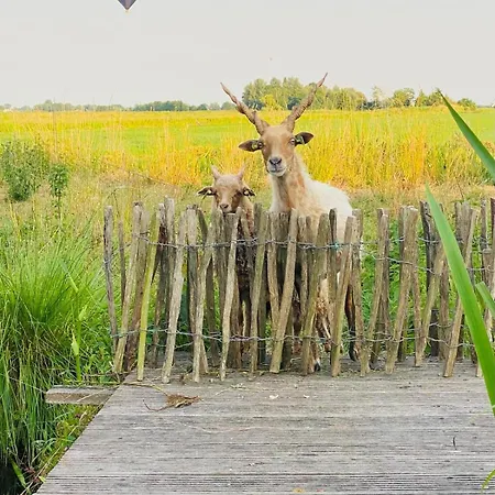 De Beijersche Stee , Logies In De Wagenschuur * Stolwijk