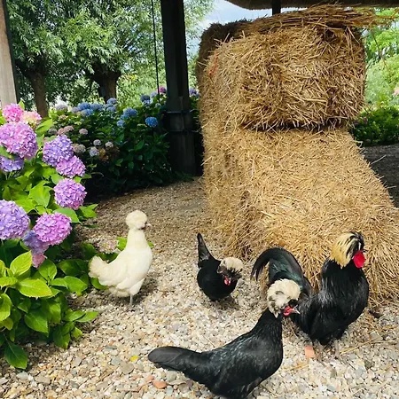 بيت للعطل De Beijersche Stee , Logies In De Wagenschuur