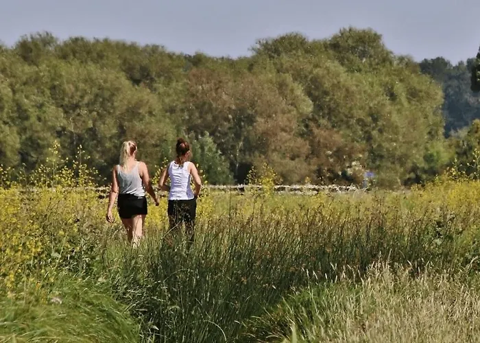 De Beijersche Stee , Logies In De Wagenschuur *